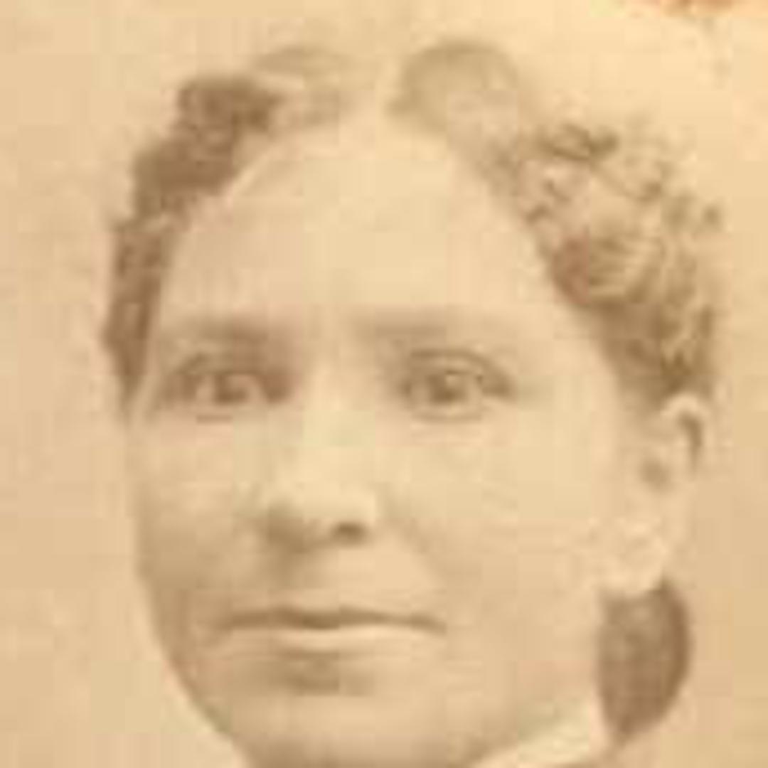 Emma Tolley (1853 - 1913) Profile